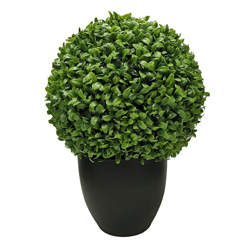 Boxwood Ball Plant with Black Planter, 16" | At Home