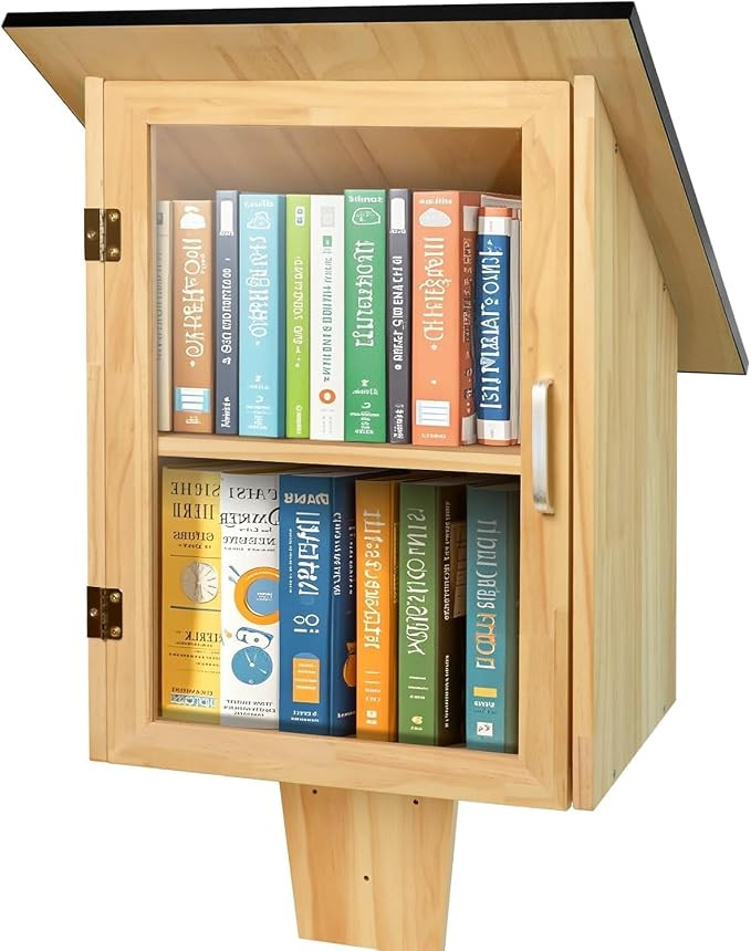 Outdoor Library Book Box, Double Little Library for Sharing Books, DIY Storage Wooden Cabinet Eas... | Amazon (US)
