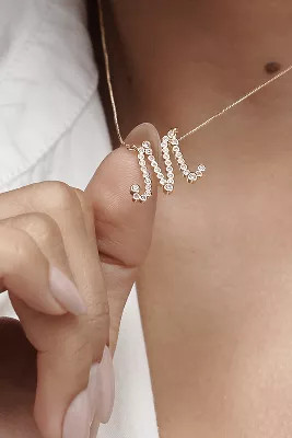 Lasso Monogram Necklace | Anthropologie (US)