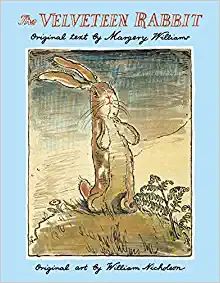 The Velveteen Rabbit



Hardcover – Illustrated, January 1, 1991 | Amazon (US)