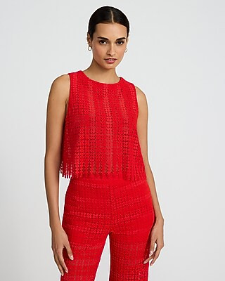 Sheer Lace Crew Neck Tank | Express