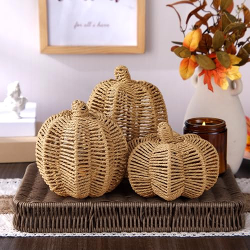 Geelin 3 Pcs Neutral Fall Decor Weave Rattan Pumpkins 3 Sizes Faux Woven Pumpkin Centerpiece Handmade Crafts for Autumn Thanksgiving Harvest Table Runner Mantel Home Office Party Decor | Amazon (US)