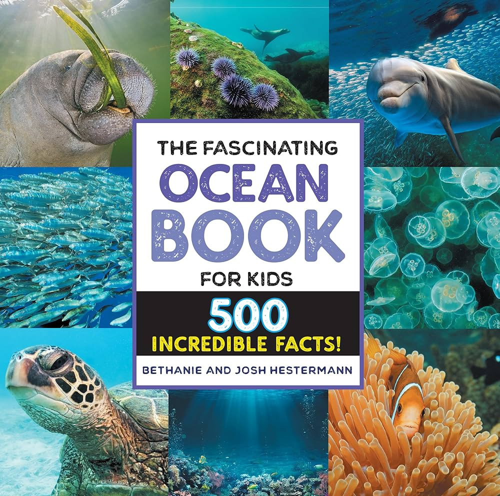 The Fascinating Ocean Book for Kids: 500 Incredible Facts! (Fascinating Facts) | Amazon (US)