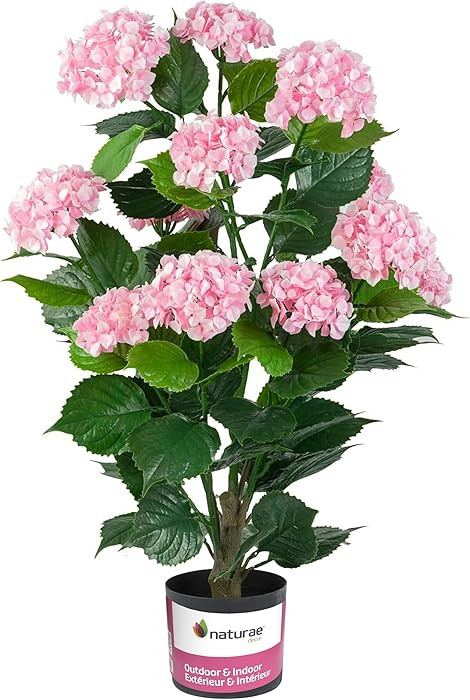 Naturae Decor Pink Hydrangea Artificial Plant 37” in Black Pot – Lifelike & Elegant Indoor & ... | Amazon (US)