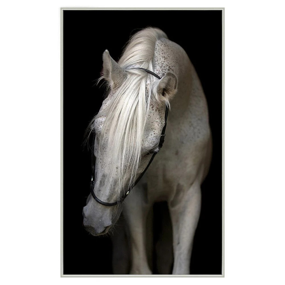 Pasha | France and Son