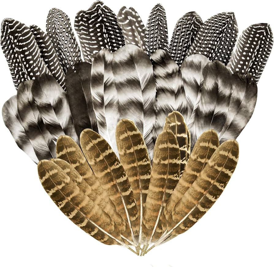 30Pcs Natural Turkey Feathers, 5.3-7 Inch Craft Feathers Pheasant for Hats, 3 Style Mixed Natural... | Amazon (US)