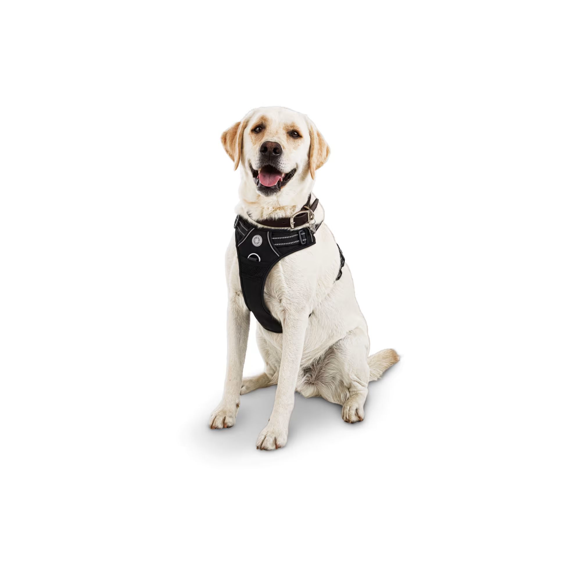 Good2Go Black Front Walking Dog Harness, Medium | Petco