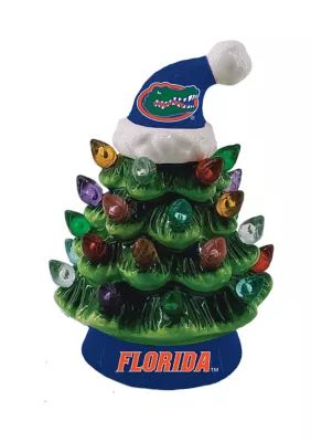 Evergreen NCAA Florida Gators Mini Light Up Christmas Tree | Belk