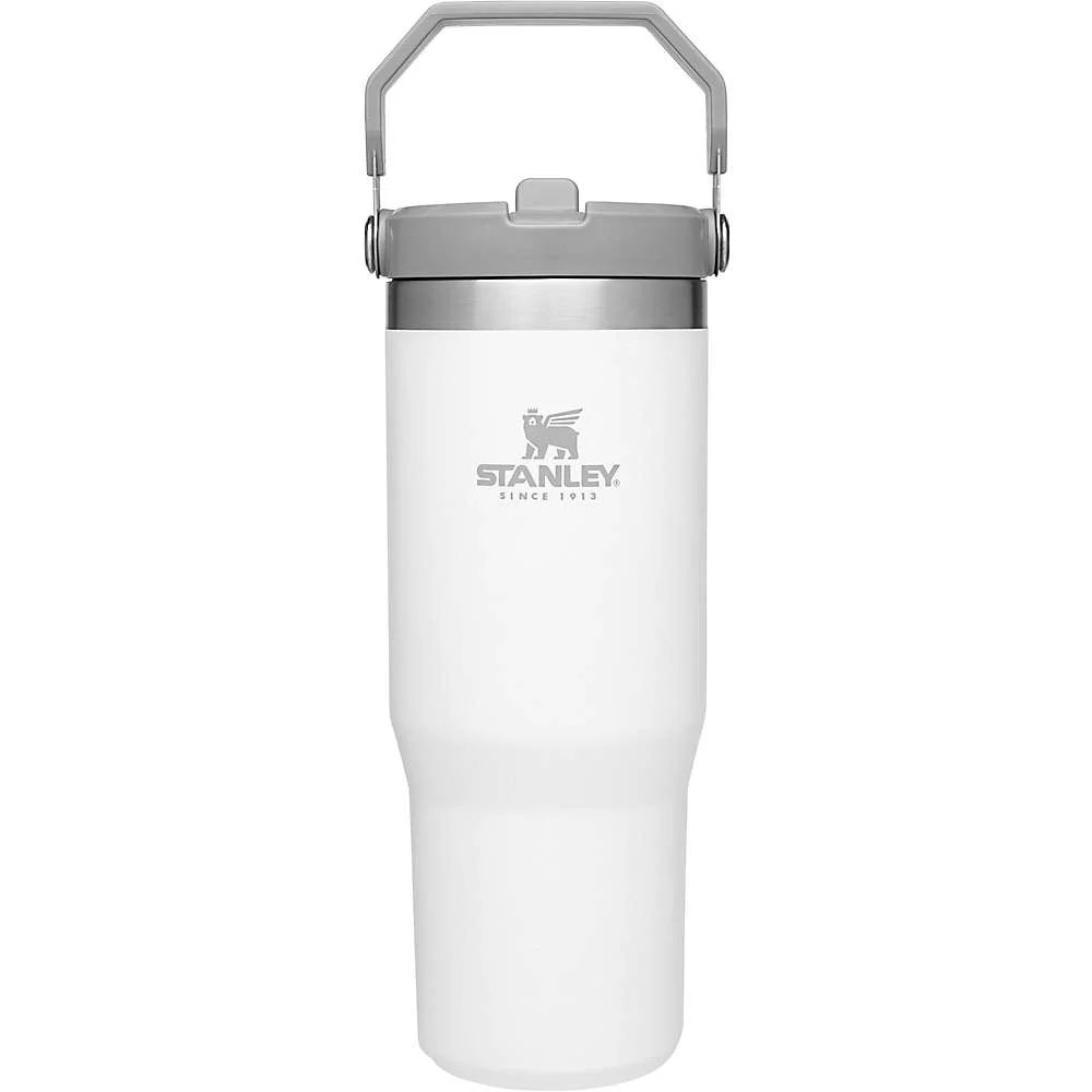 Stanley Classic 20oz Iceflow Flip Straw Tumbler | Walmart (US)