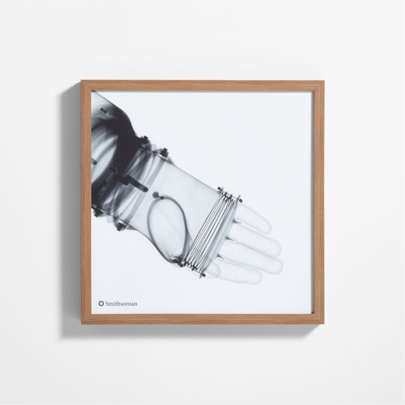 Smithsonian RX-1 Arm Framed Wall Art Print | Crate & Kids | Crate & Barrel