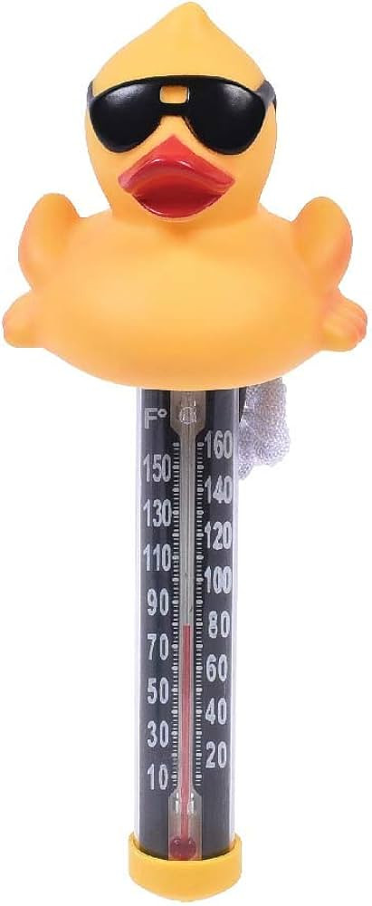 GAME 13901-BB Derby Duck Spa and Pool Thermometer Shatter-Resistant Casing, Tether Included, New ... | Amazon (US)