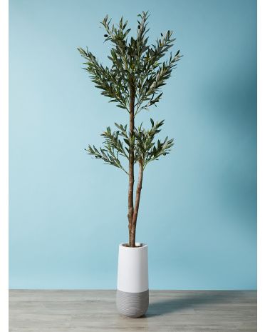 Made In Usa 6ft Artificial Olive Tree In Ceramic Pot | HomeGoods