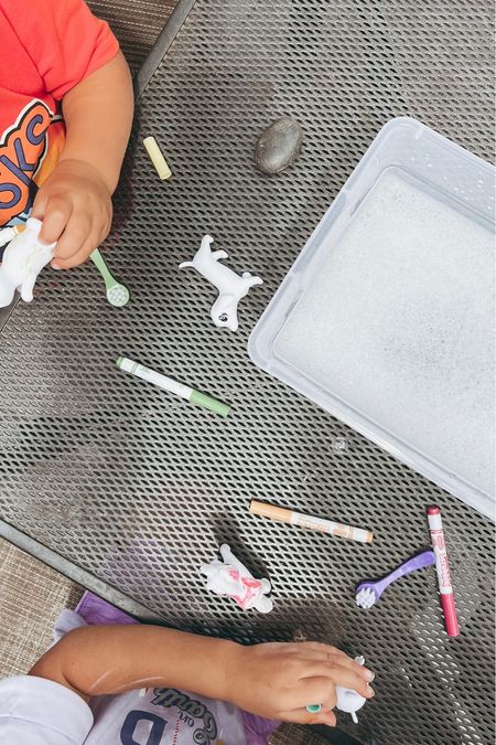 Backyard activities for kids - scribble scrubbies pets crayola 

#LTKfamily #LTKkids #LTKFind