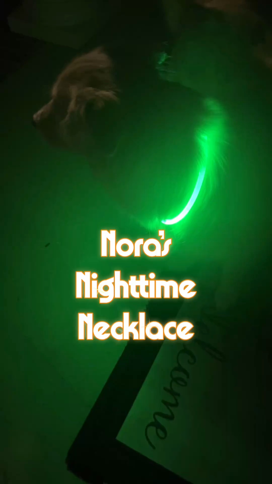 One of our best Amazon finds. Glowing night collar - or what we call a necklace.  #dogmom

#LTKmomlife #LTKvlog