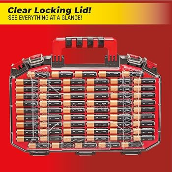 Ontel Battery Daddy Storage & Organizer Case with Light and Tester, Stores & Protects Over 200 Ba... | Amazon (US)