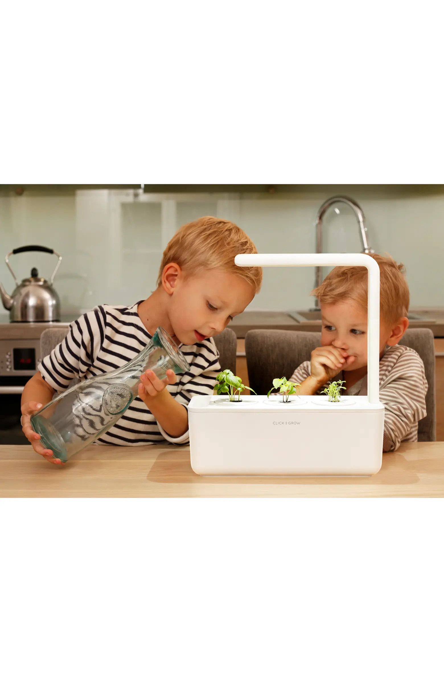 Smart Garden 3 Self Watering Indoor Garden | Nordstrom