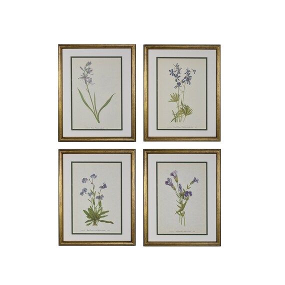 Vintage Botanical Prints Set of 4 Framed Original Wild - Etsy | Etsy (US)