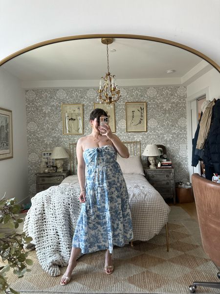 Blue toile strapless maxi dress from petal and pup great for spring events

#LTKmidsize #LTKbeauty #LTKstyletip
