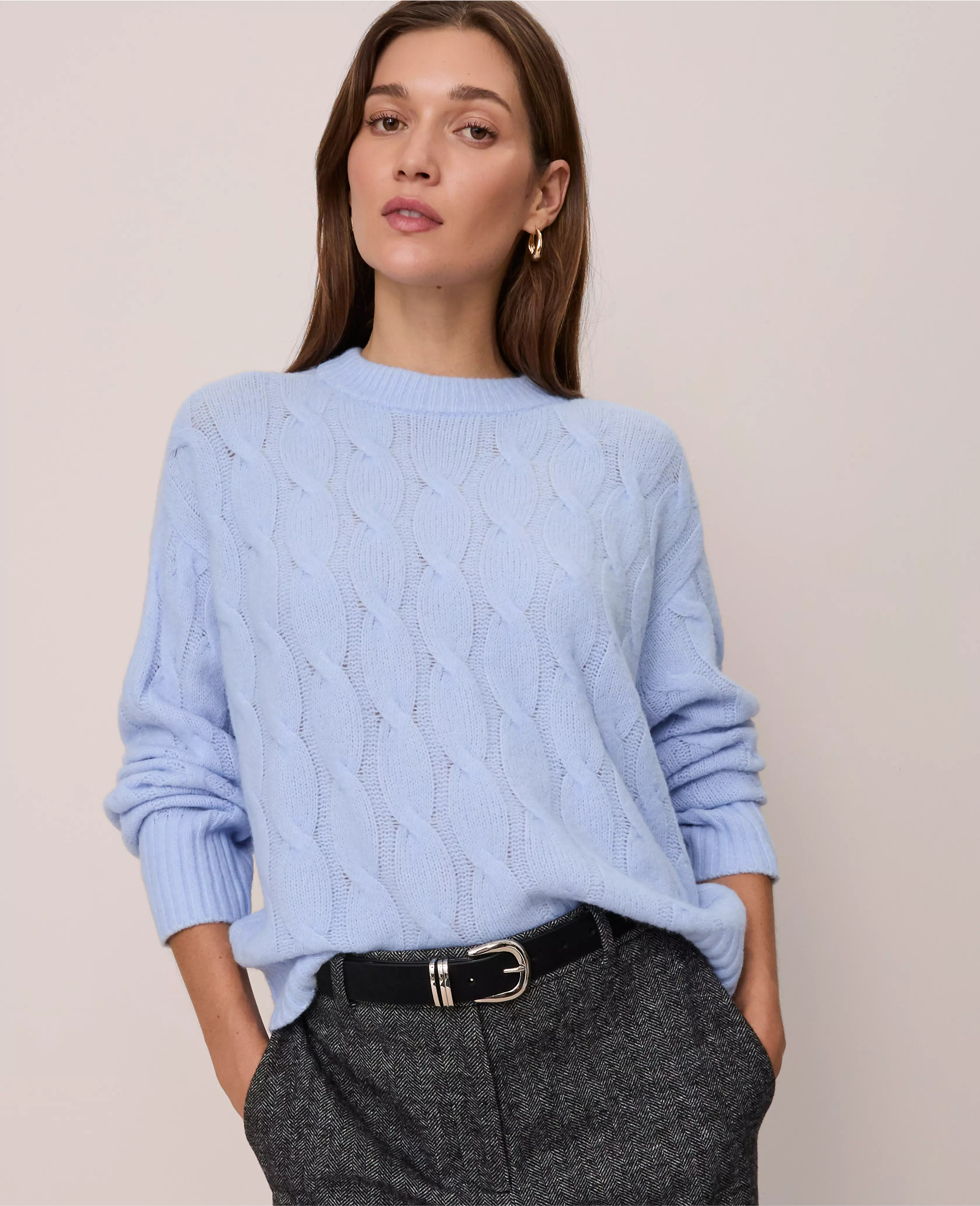 Cable Crew Neck Sweater | Ann Taylor