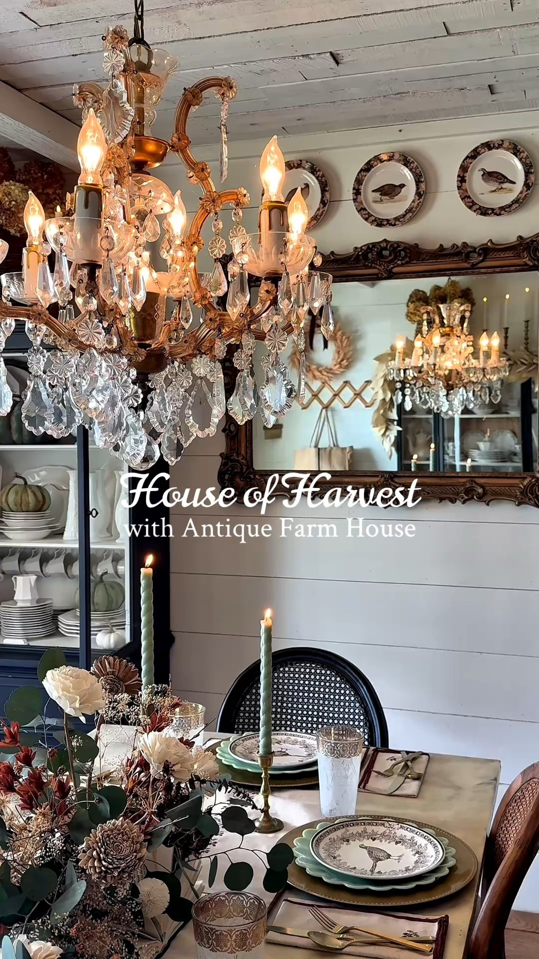 A House of Harvest Event with Antique Farmhouse 🤎🍂

#LTKHome