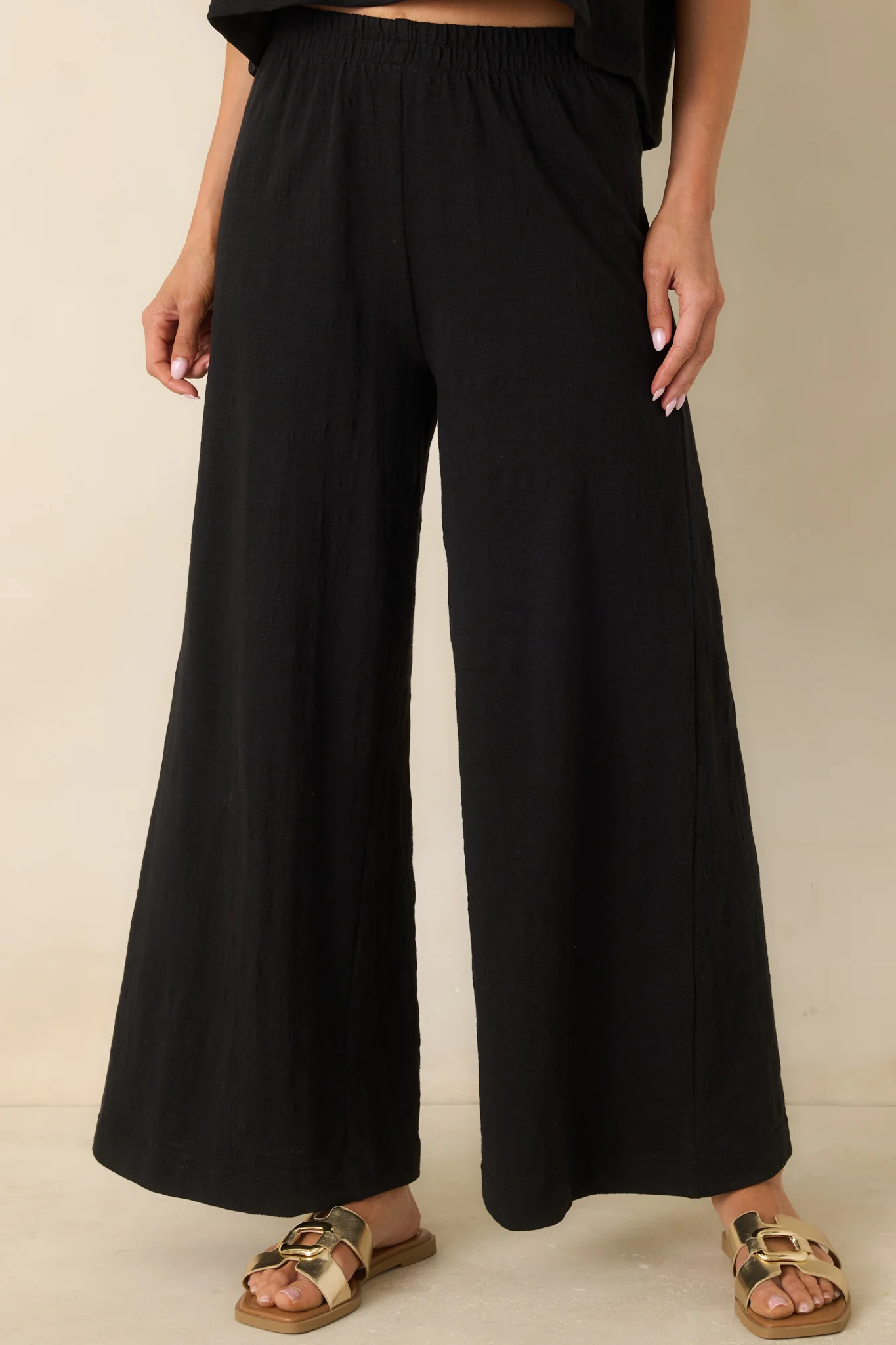 Z Supply Black Scout Textured Slub Pants | Red Dress