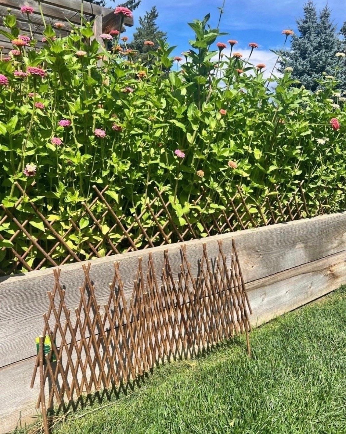 I didn’t expect something this simple to make such a difference 🌿 I’ve ended up using expandable willow fencing in a few spots around the garden, and I love the cozy cottage feel it adds without much effort!

#LTKFindsUnder50 #LTKHome #LTKFindsUnder100
