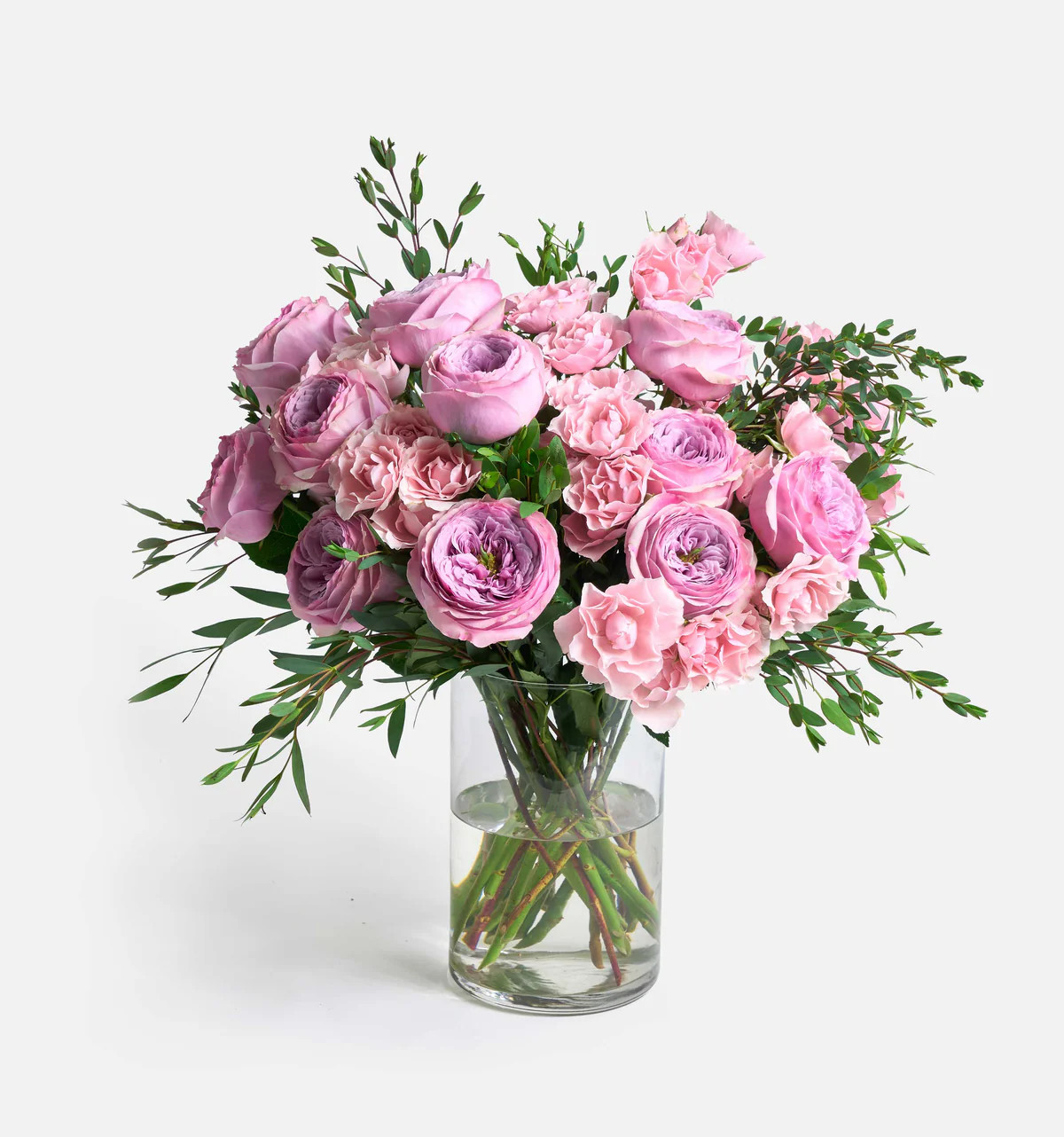 Double The Peonykiss | UrbanStems