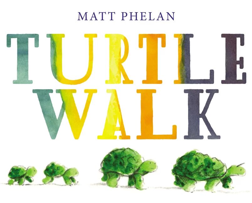 Turtle Walk (Hardcover) | Walmart (US)