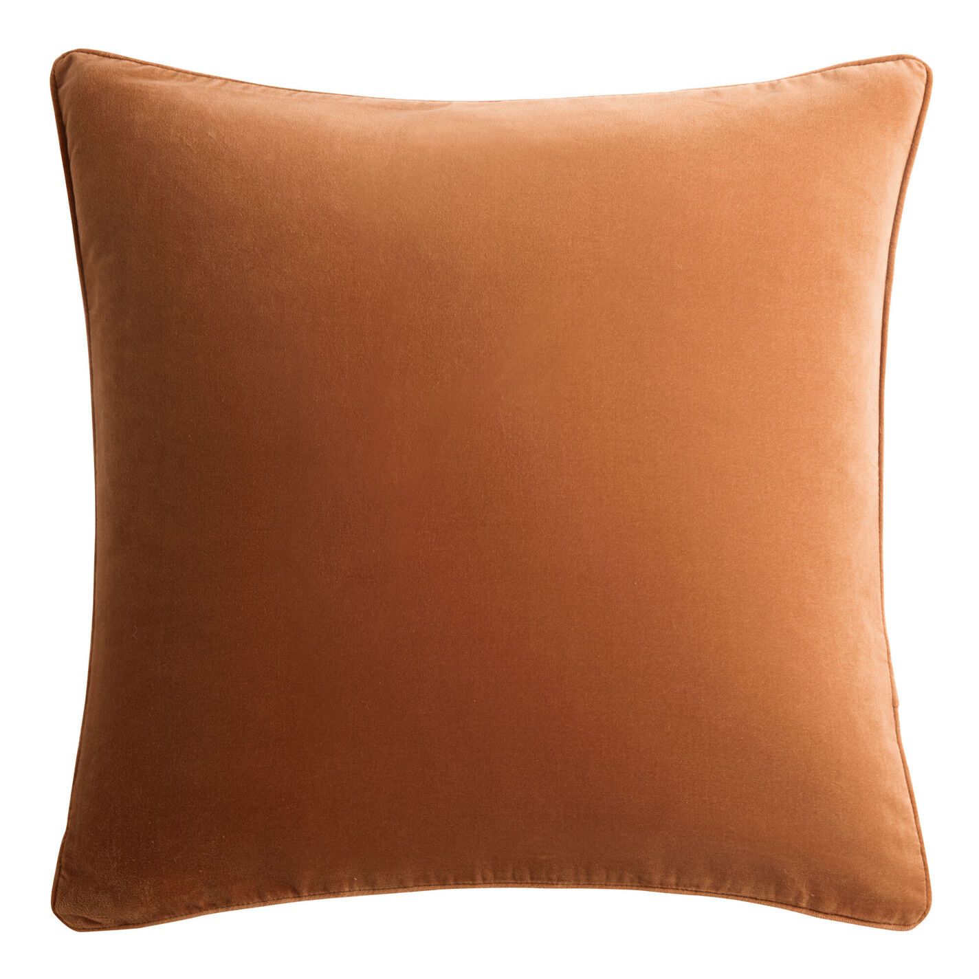 Oversized Velvet Throw Pillow - World Market | World Market