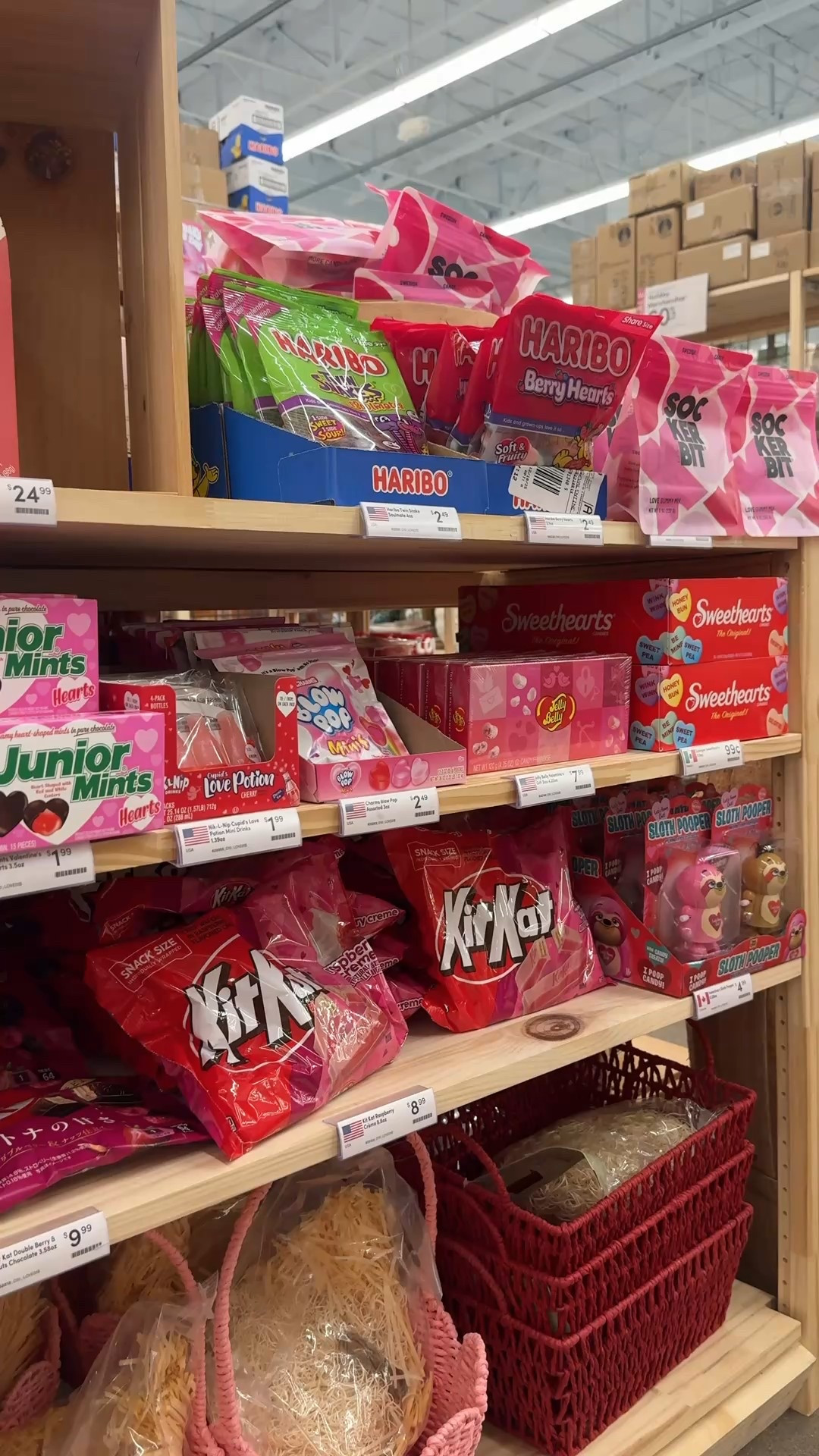 Valentines Day Basket Finds from World Market 💌

#LTKValentine #LTKselfcare