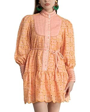 Aofur Summer Cotton V Neck Long Losse Sleeve Casual Party A-Line Dresses Embroidery Short Dress | Amazon (US)