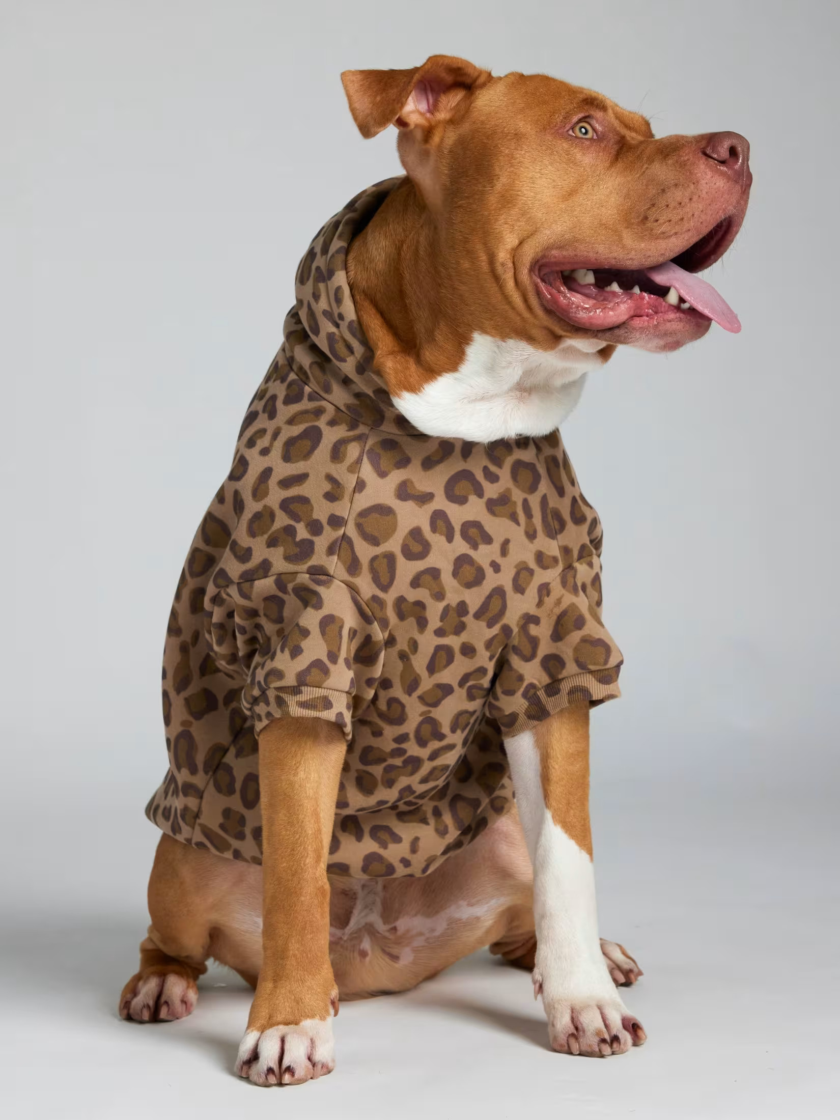 Minimalist Paw Hoodie | Comfrt