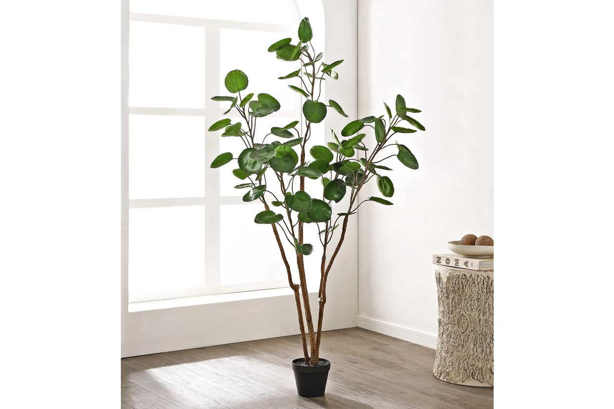 Safavieh Faux Polyscias Potted Tree | Ashley Homestore