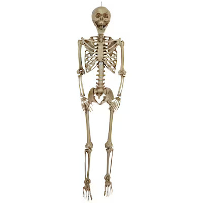 Haunted Living  5-ft Lighted Skeleton with Red Eyes | Lowe's