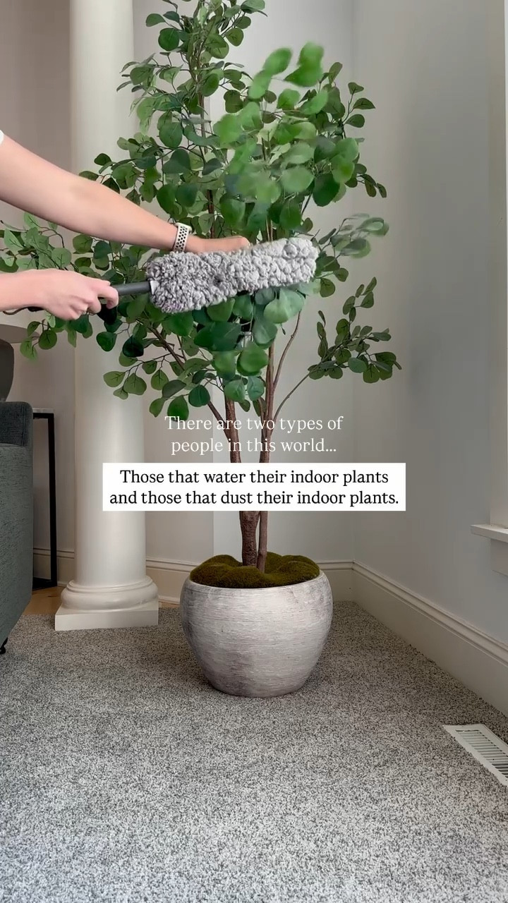 POV—you prefer to dust your plants over watering them.🙋🏼‍♀️ BTW, hurry because my favorite artificial floor plant from @Target is back in stock and it’s bound to sell out quickly!

#LTKHome #LTKvlog