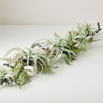 Faux Tillandsia on Branch | West Elm (US)