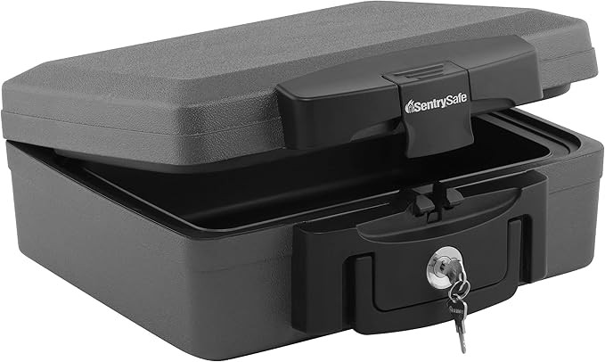 SentrySafe Fireproof and Waterproof Safe, Black Portable Lock Box with Key Lock and Carrying Hand... | Amazon (US)