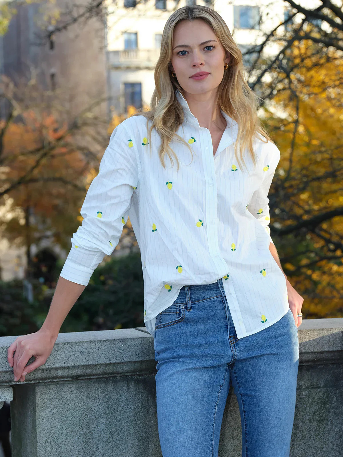 89th & Madison Embroidery Stripe Button Up Shirt | 89th + Madison