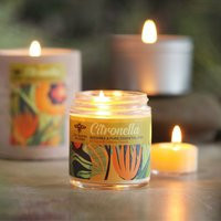 Citronella Apothecary Glass | Beeswax Handmade Candles Gift Candle Christmas For Women | Etsy (US)