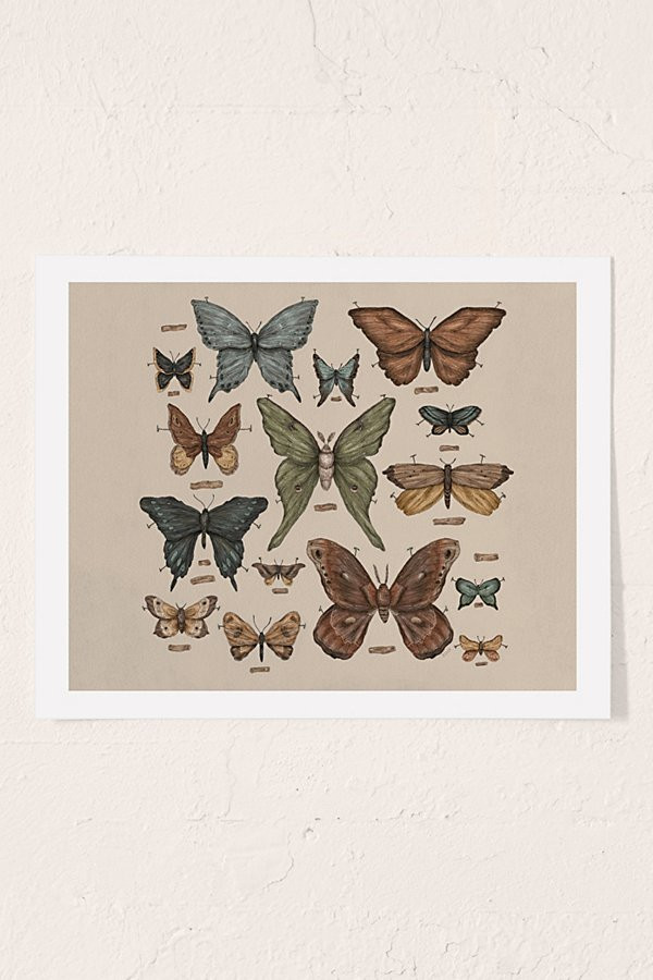 Jessica Roux Butterflies And Moth Specimens Art Print | Urban Outfitters (US and RoW)