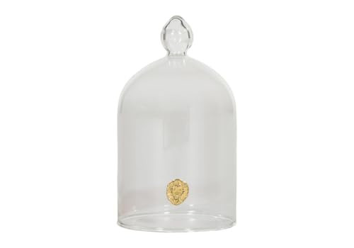 Alice Lane Glass Cloche – Clear Glass Dome Display Case for Home Decor, Centerpieces, Candles, Keepsakes & Collectibles – Elegant Decorative Cloche Dome for Table, Mantel, or Bookshelf | Salt | Amazon (US)