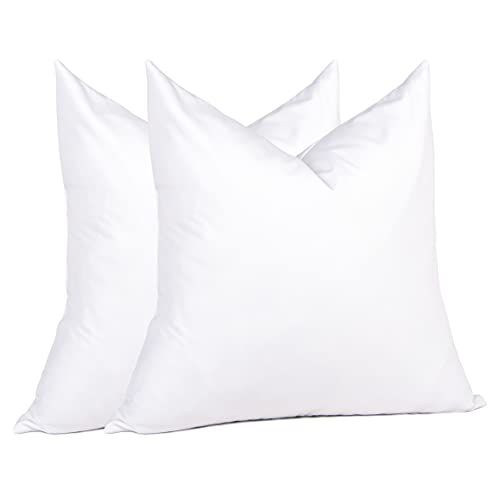 Puredown Feathers and Down Pillow Inserts Set of 2 for Couch, Recliner, Bed Decor, Square, 16 x 16 i | Amazon (US)