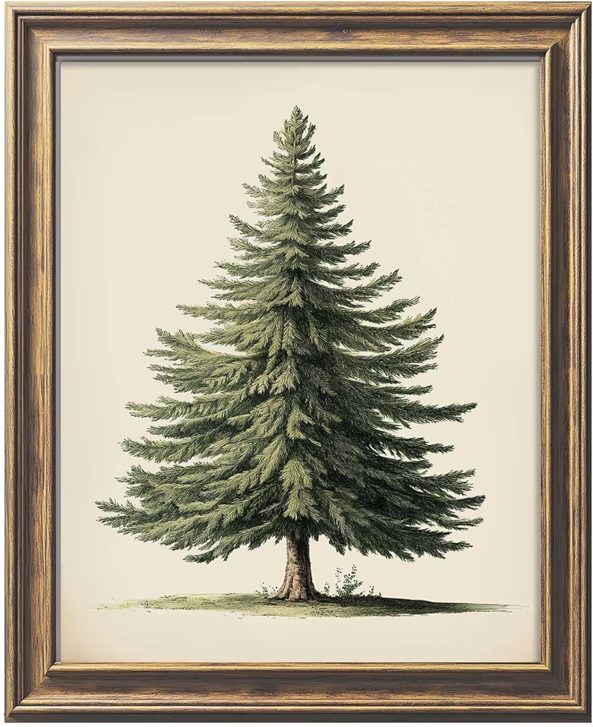 Vintage Christmas Tree Print, Pine Tree Vintage Print, Winter Holidays Wall Art, Farmhouse Christ... | Amazon (US)