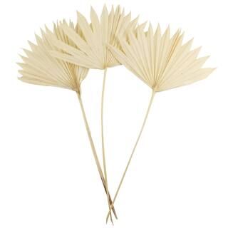 Bleached Sun Palm Spears by Ashland®, 3ct. | Michaels Stores