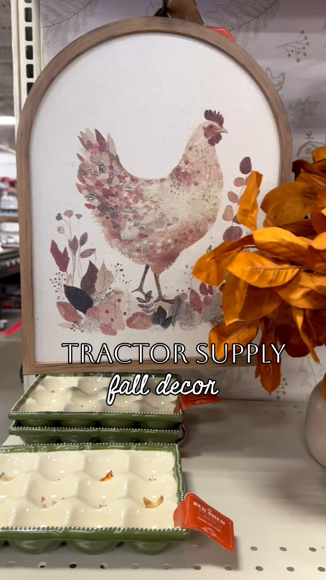 Fall home decor at Tractor Supply - so many great items for chicken lovers 🐓

#LTKHome #LTKSeasonal #LTKSaleAlert