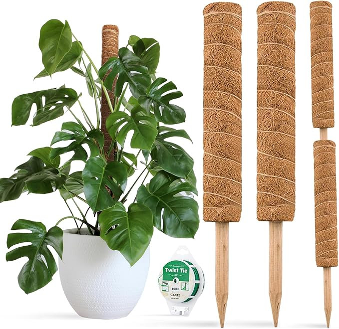 JOYSEUS 30 Inch Moss Pole for Climbing Plants - 2 Pack 15 Inch Coir Totem Pole Plant Support with... | Amazon (US)