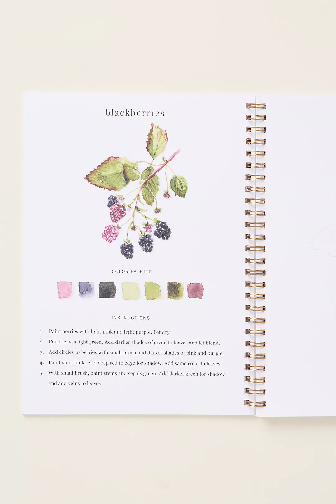 Emily Lex Studio Watercolor Workbook | Anthropologie (US)