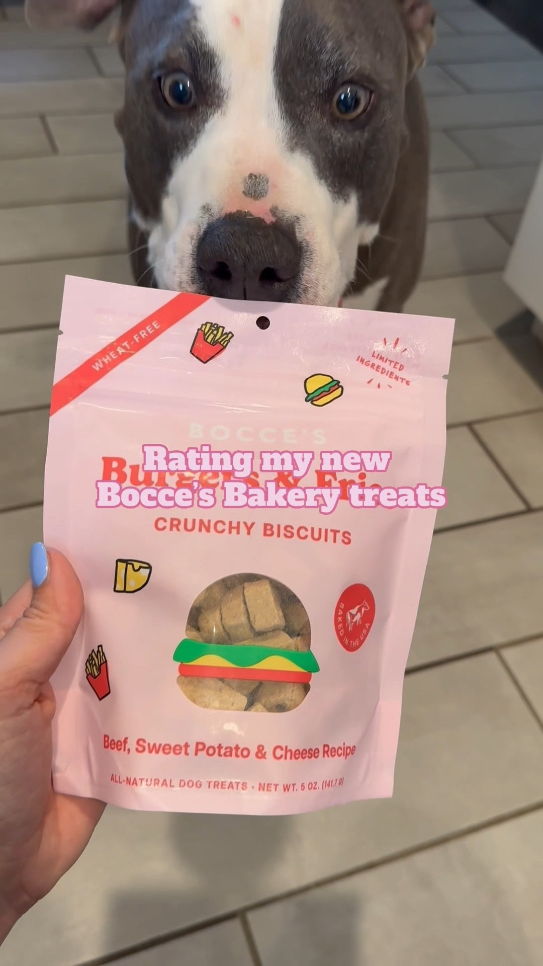 #LTKHome #LTKPets #LTKActive