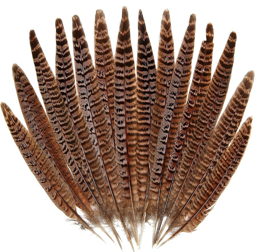 20pcs Female Pheasant Feather Natural Ringneck Tails Feathers 6-8inch 15-20cm for Crafts Home Wed... | Amazon (US)