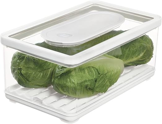 iDesign iD Fresh Food Storage, Large Bin | Amazon (US)